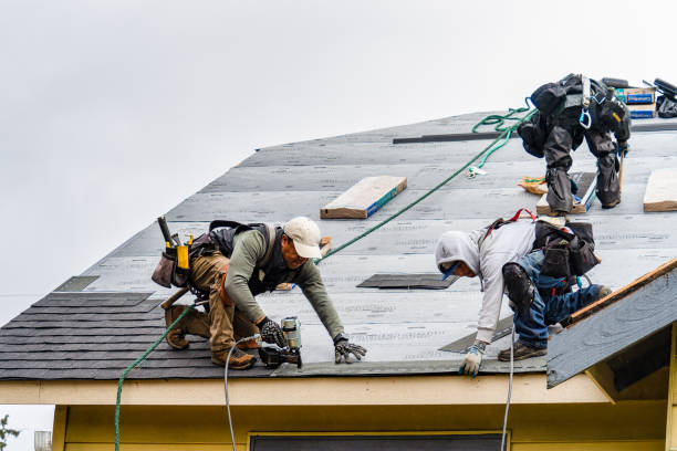Professional Gutter Installation technician working in Philo, OH